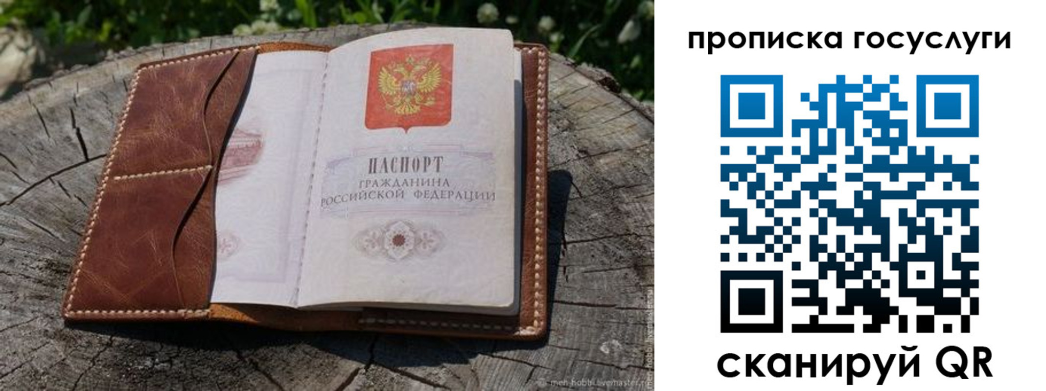 прописка для школы в Костроме